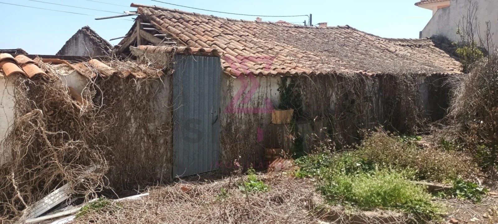 Moradia T5 para Venda em Bombarral e Vale Covo Foto 15