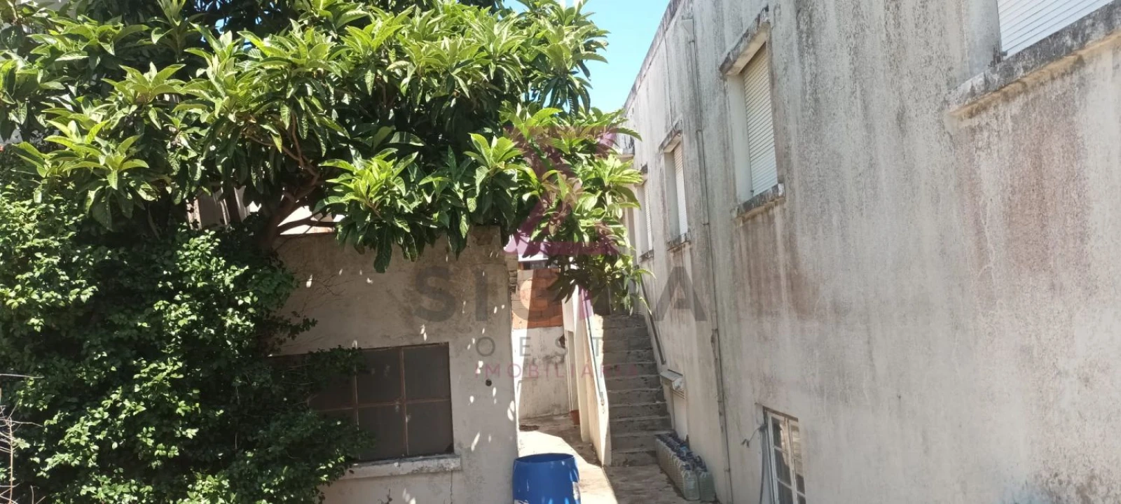 Moradia T5 para Venda em Bombarral e Vale Covo Foto 5