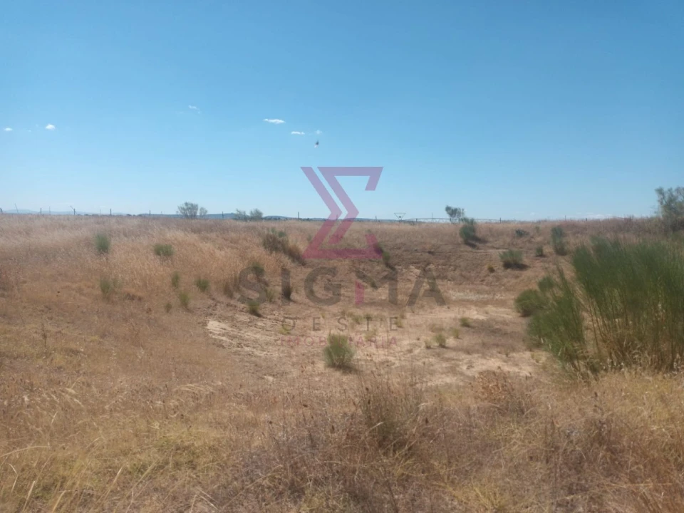 Terreno para Venda em Ladoeiro Foto 16