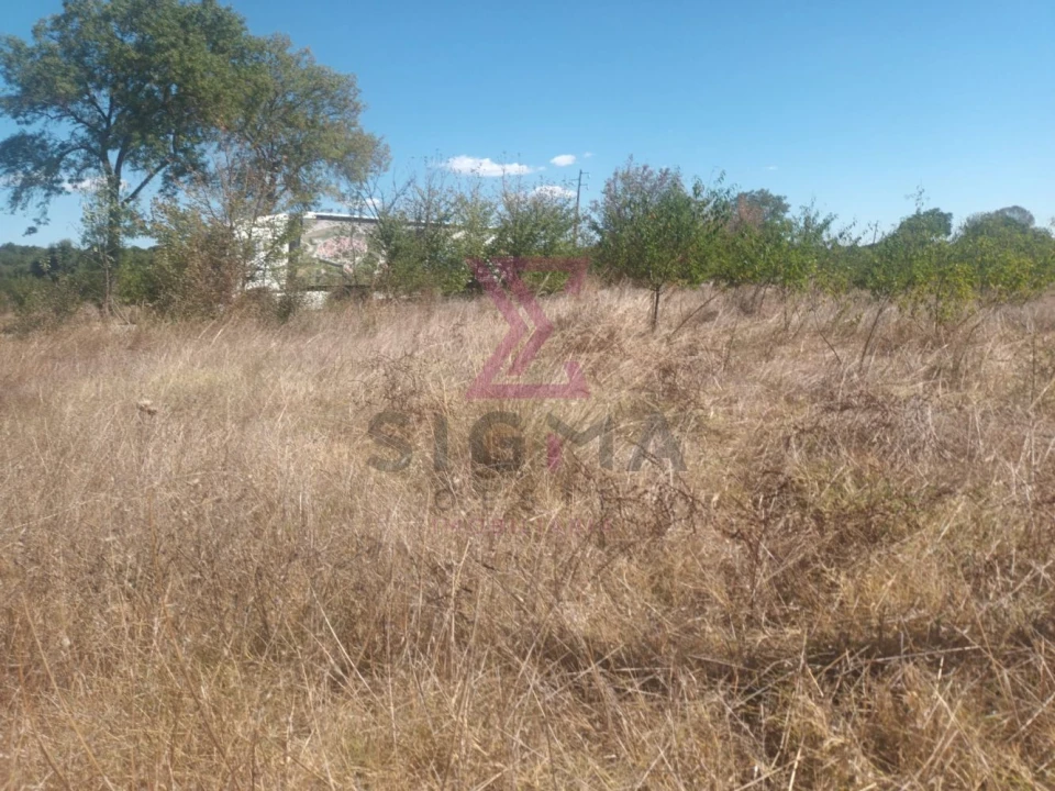 Terreno para Venda em Ladoeiro Foto 18