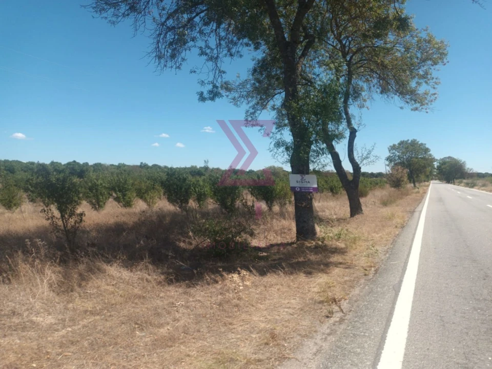 Terreno para Venda em Ladoeiro Foto 1