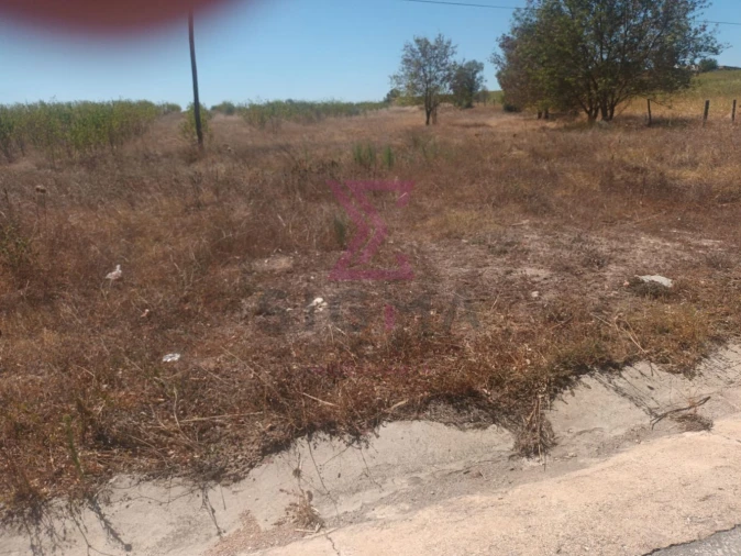 Terreno para Venda em Ladoeiro Foto 6