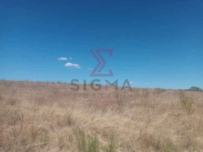 Terreno para Venda em Ladoeiro Foto 13