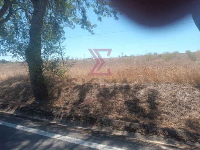 Terreno para Venda em Ladoeiro Foto 4