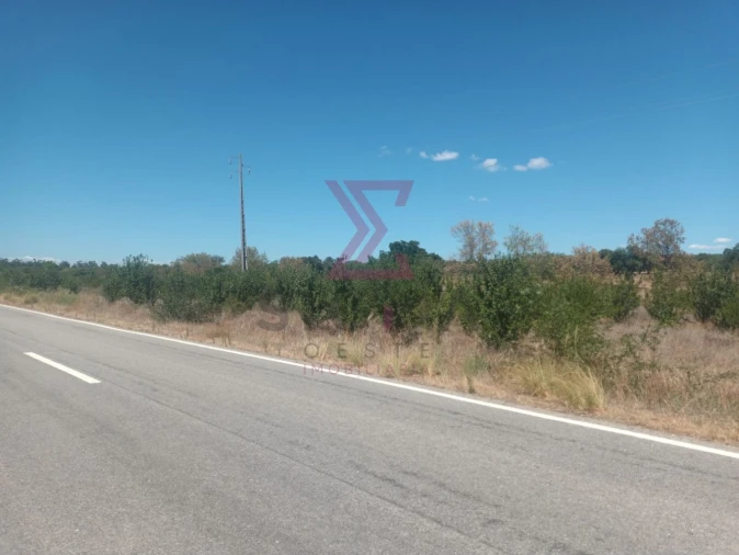 Terreno para Venda em Ladoeiro Foto 8