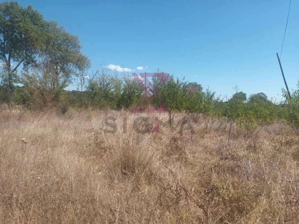 Terreno para Venda em Ladoeiro Foto 19