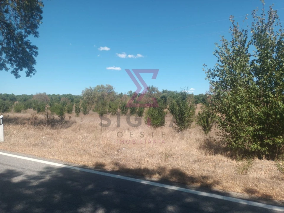 Terreno para Venda em Ladoeiro Foto 7