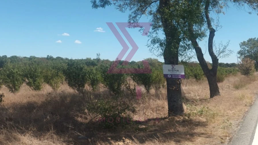 Terreno para Venda em Ladoeiro