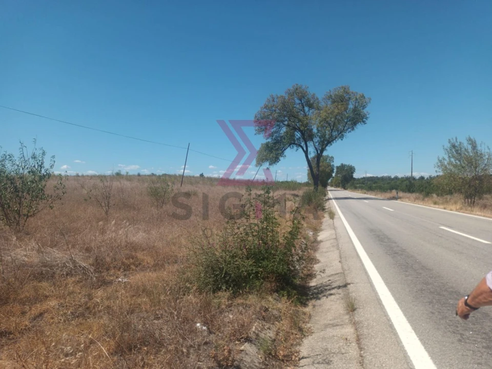 Terreno para Venda em Ladoeiro Foto 11