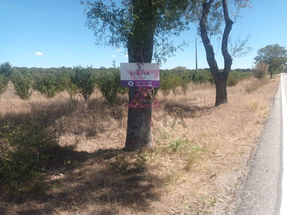 Terreno para Venda em Ladoeiro Foto 2