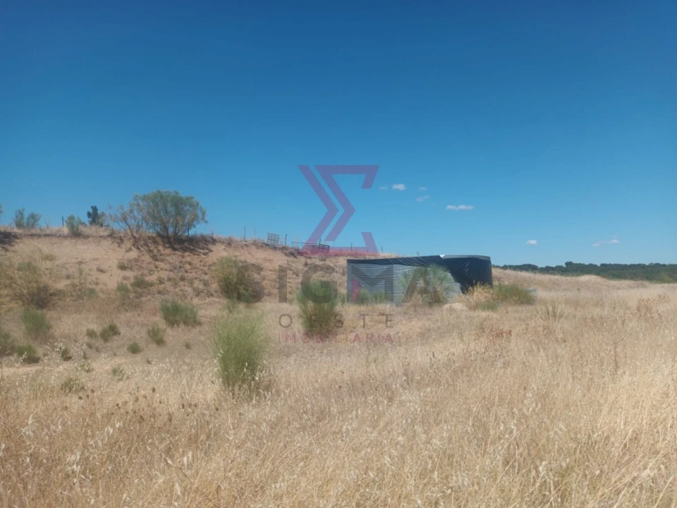 Terreno para Venda em Ladoeiro Foto 15