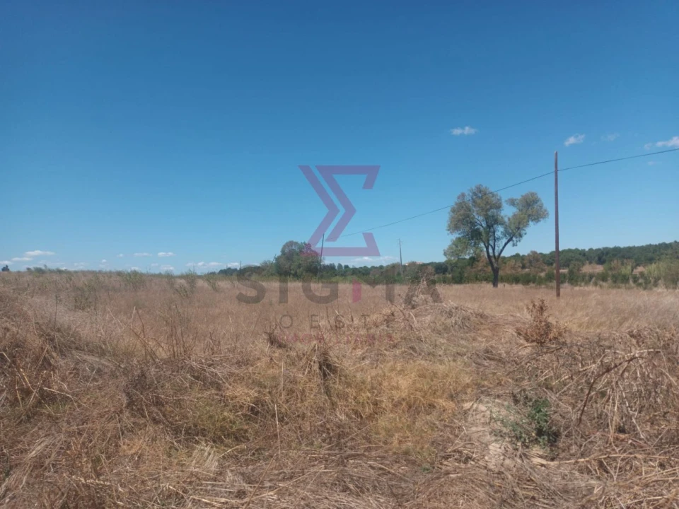 Terreno para Venda em Ladoeiro Foto 10