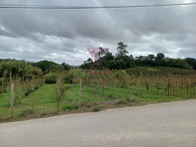 Loja para Venda em Roliça Foto 11