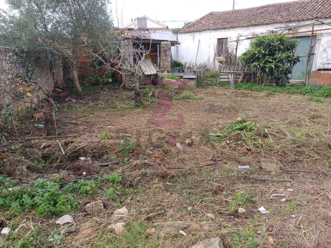 Terreno para Venda em Carvalhal Foto 20