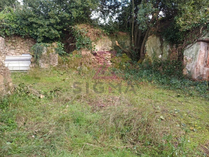 Terreno para Venda em Carvalhal Foto 4