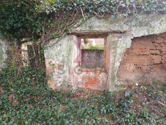 Terreno para Venda em Carvalhal Foto 8