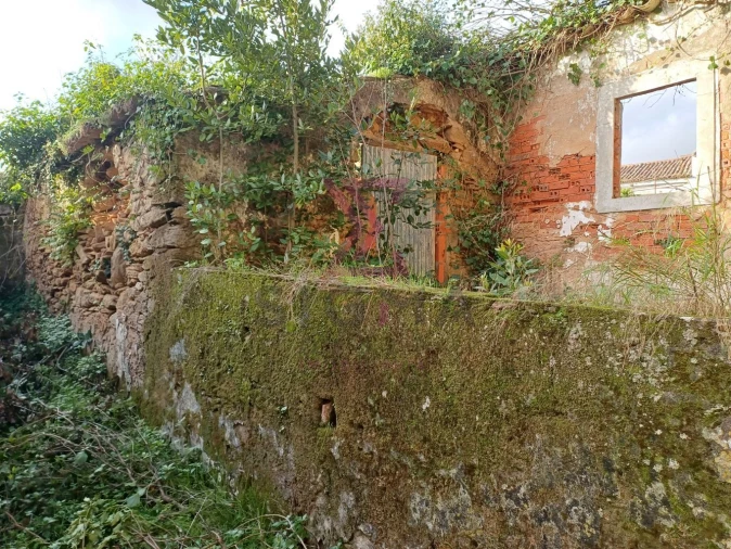 Terreno para Venda em Carvalhal Foto 23