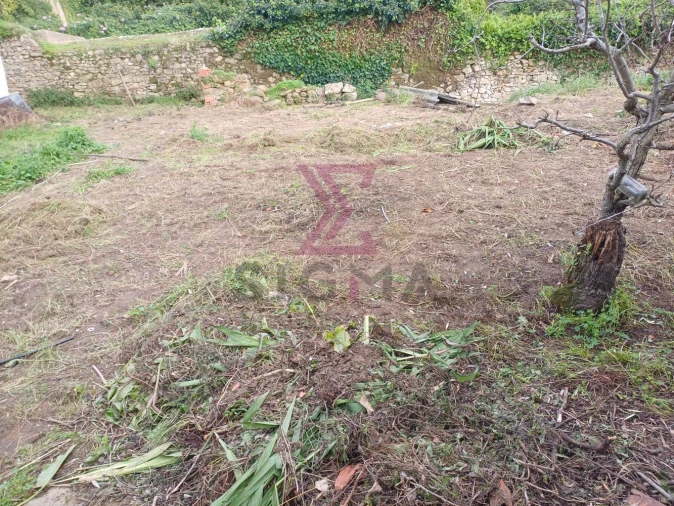 Terreno para Venda em Carvalhal Foto 15