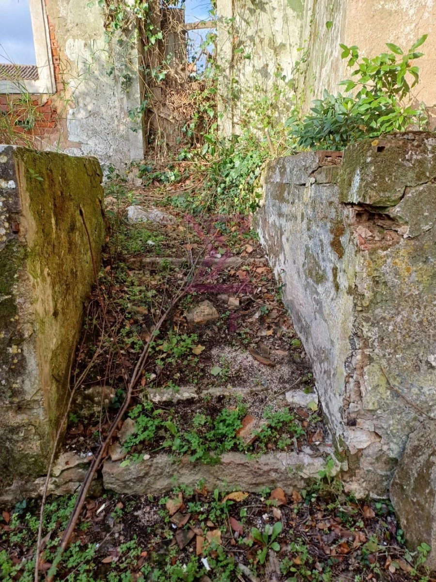 Terreno para Venda em Carvalhal Foto 22