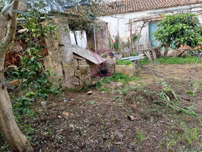 Terreno para Venda em Carvalhal Foto 16