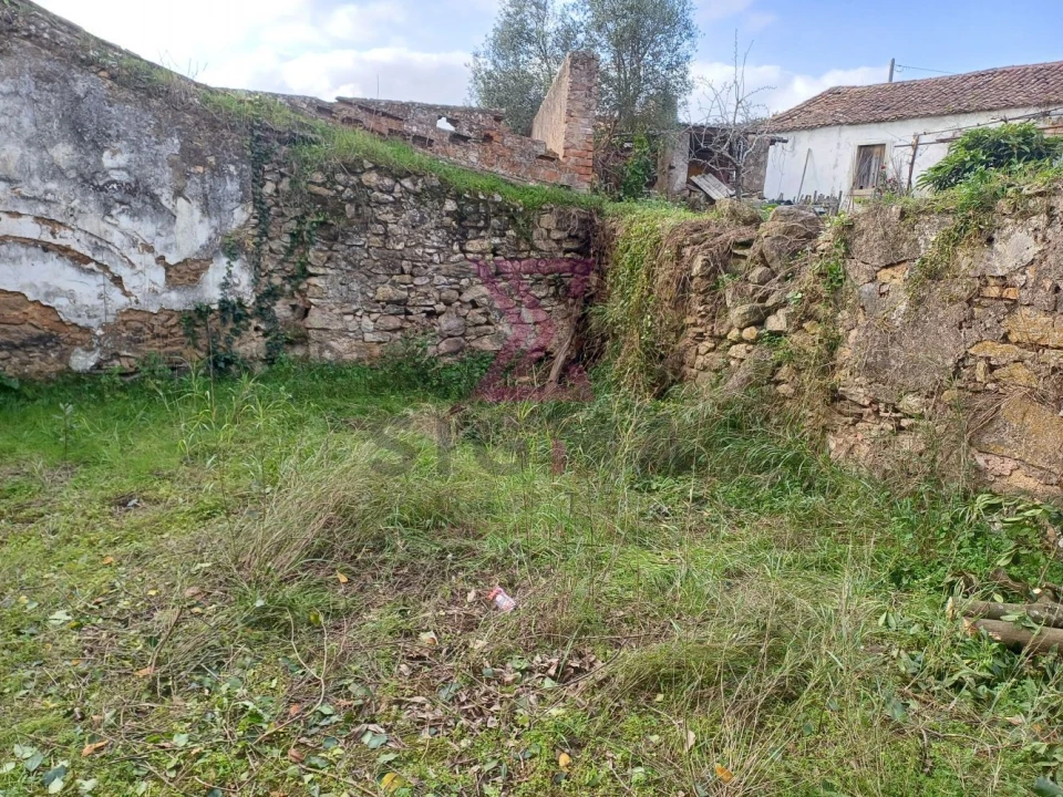 Terreno para Venda em Carvalhal Foto 9