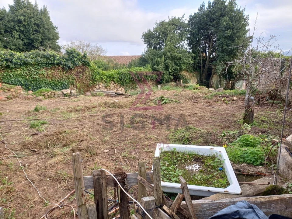 Terreno para Venda em Carvalhal Foto 3