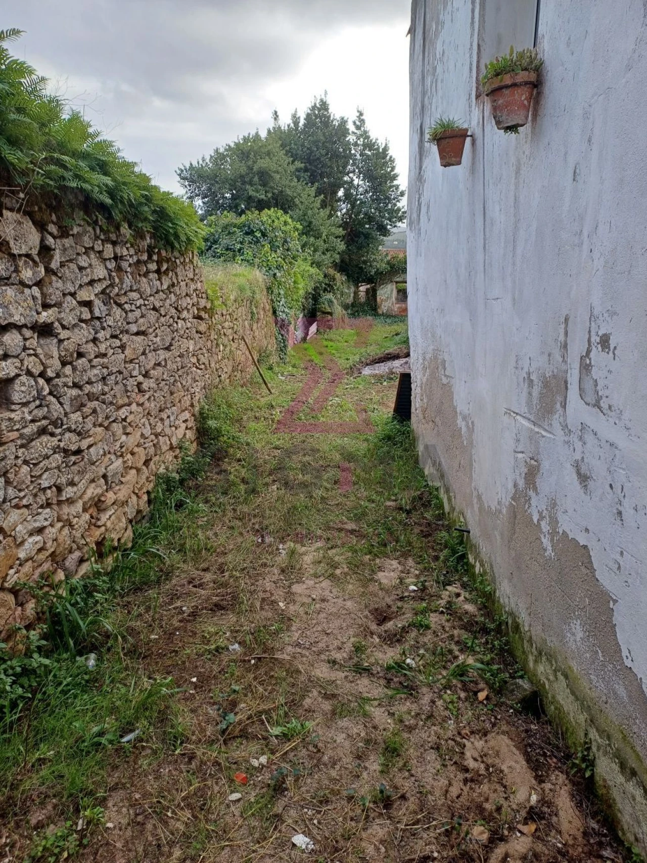 Terreno para Venda em Carvalhal Foto 26