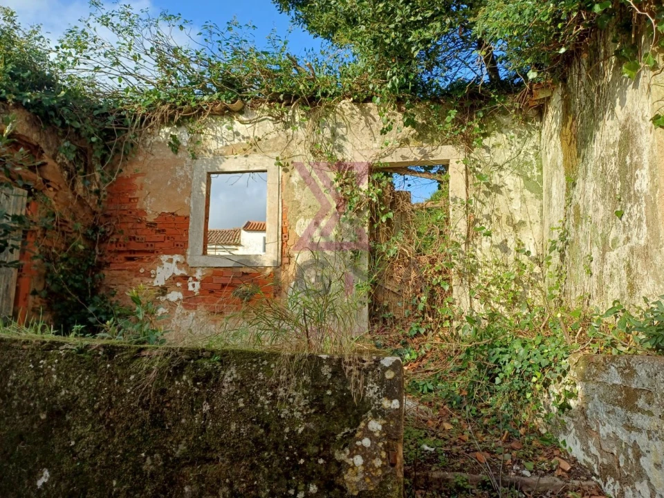 Terreno para Venda em Carvalhal Foto 2