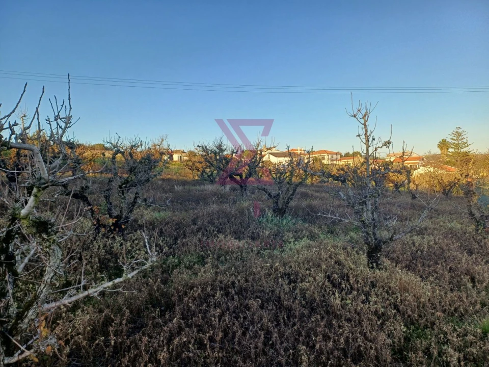 Terreno para Venda em Carvalhal Foto 19