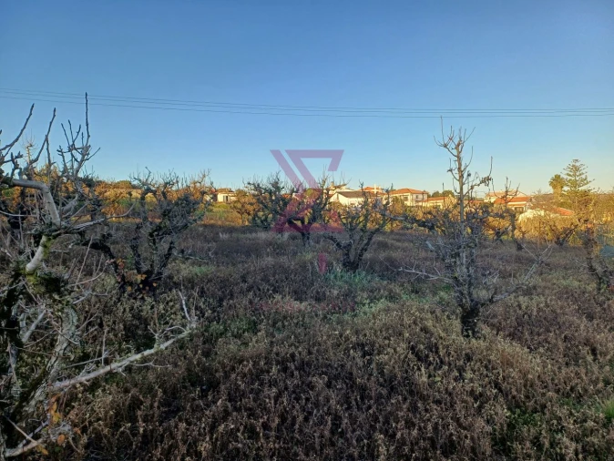 Terreno para Venda em Carvalhal Foto 19