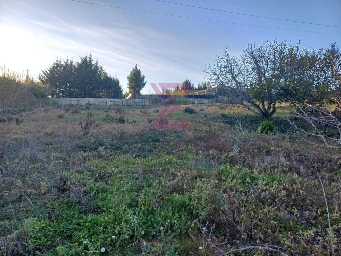 Terreno para Venda em Carvalhal Foto 5