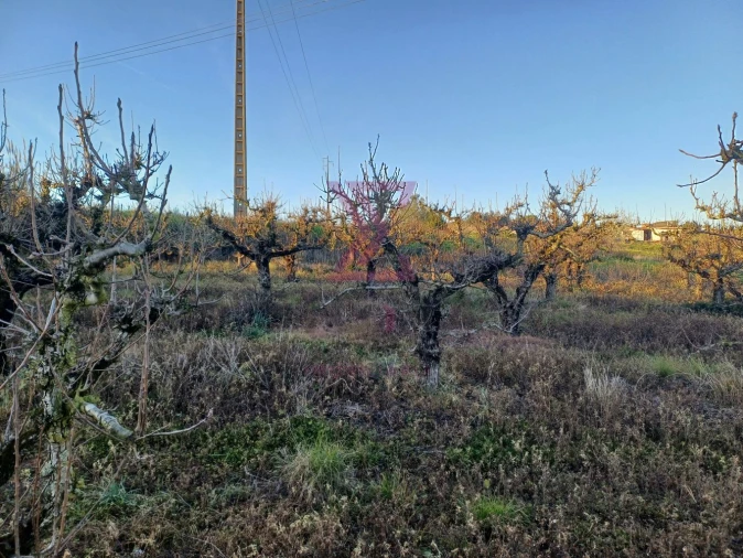 Terreno para Venda em Carvalhal Foto 17