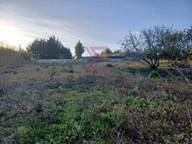 Terreno para Venda em Carvalhal Foto 2