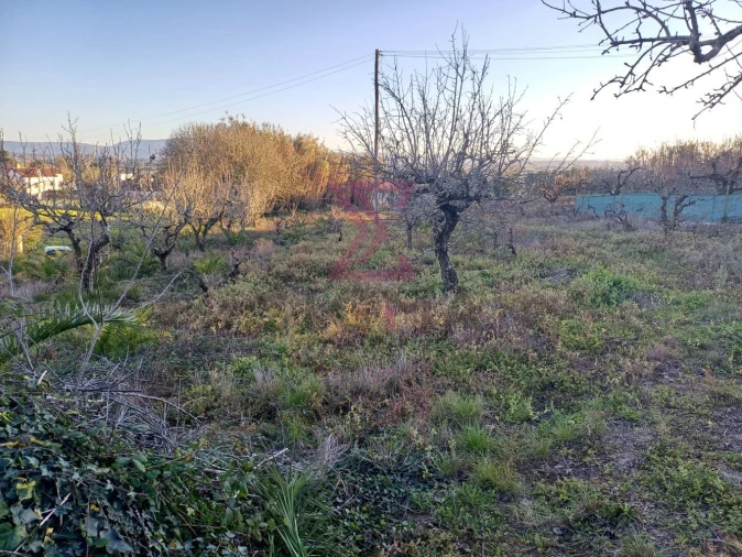 Terreno para Venda em Carvalhal Foto 11