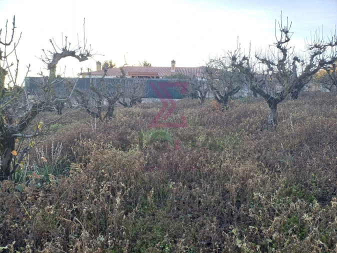 Terreno para Venda em Carvalhal Foto 15