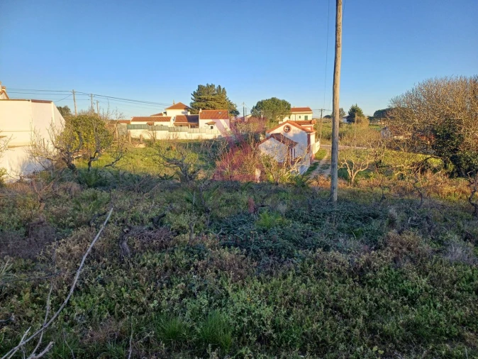 Terreno para Venda em Carvalhal Foto 7