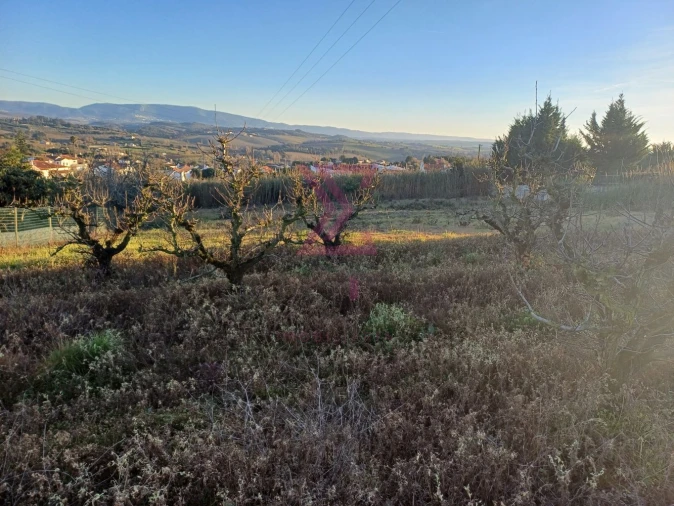 Terreno para Venda em Carvalhal Foto 14