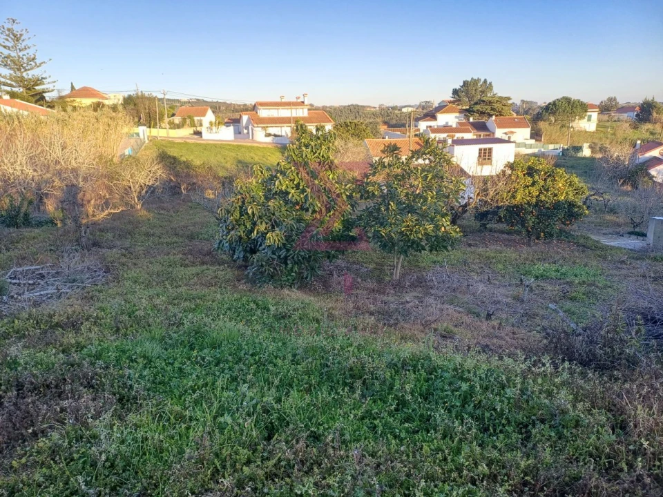 Terreno para Venda em Carvalhal Foto 12