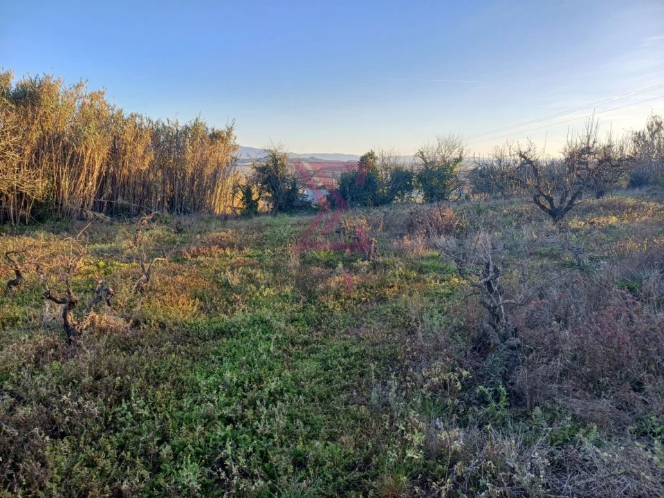Terreno para Venda em Carvalhal Foto 6