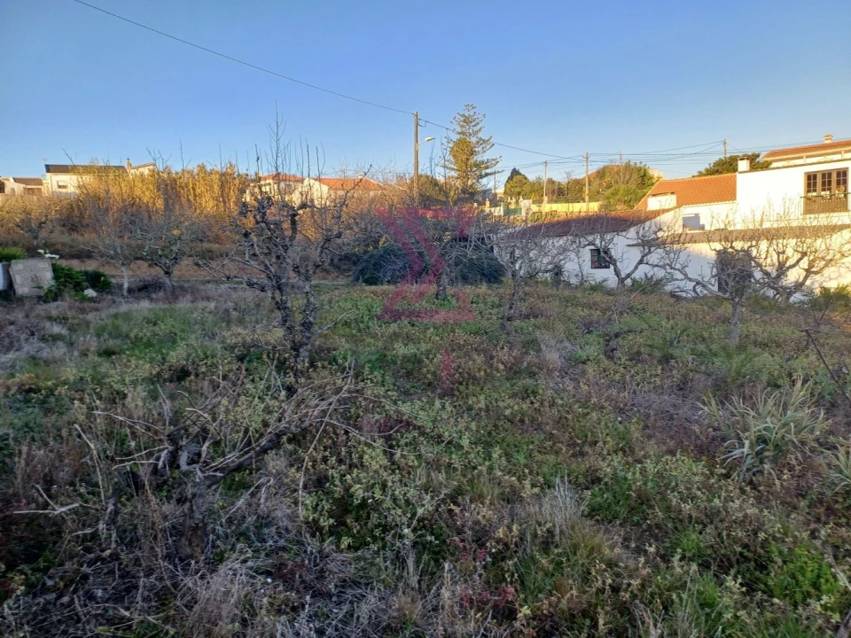 Terreno para Venda em Carvalhal Foto 8