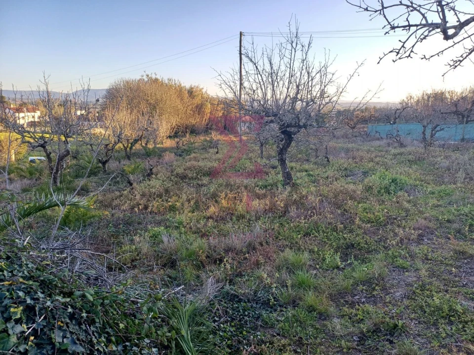 Terreno para Venda em Carvalhal Foto 11