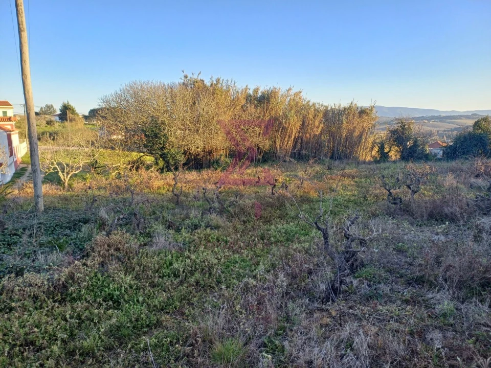 Terreno para Venda em Carvalhal Foto 9