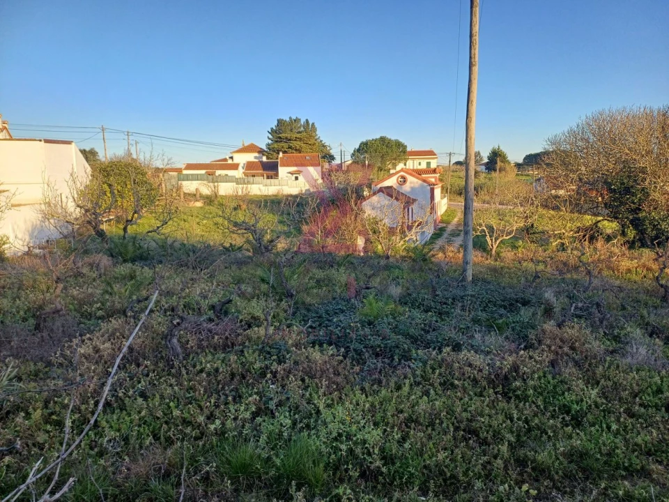 Terreno para Venda em Carvalhal Foto 7