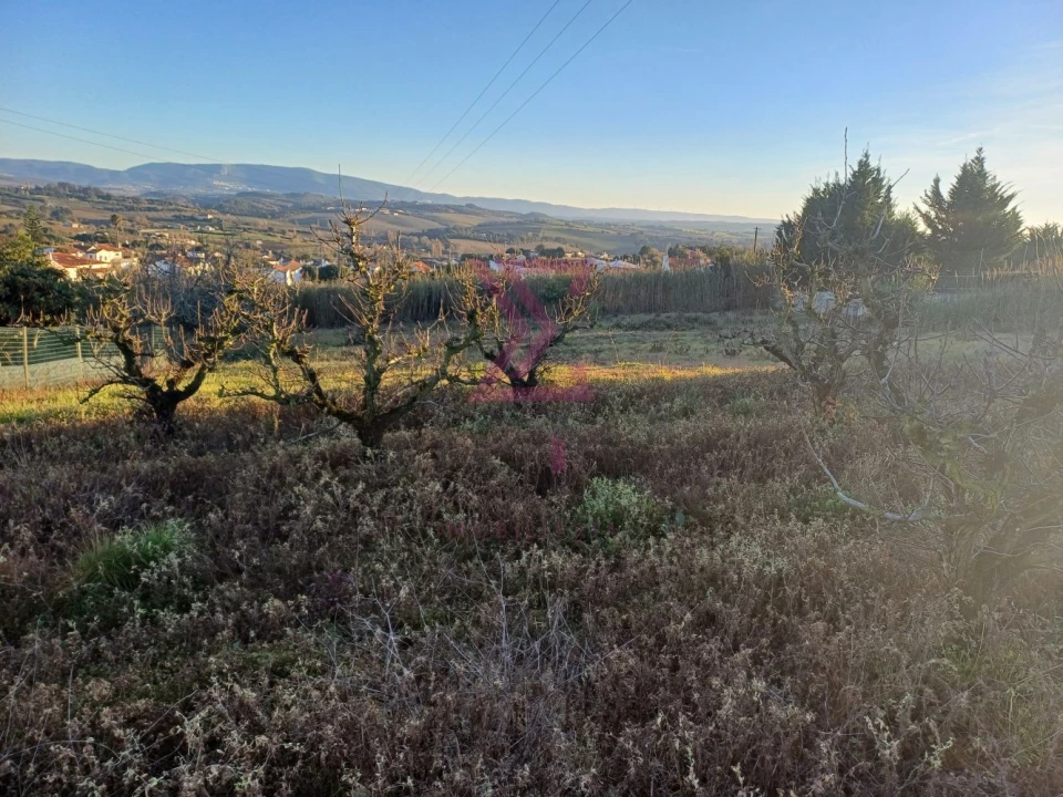 Terreno para Venda em Carvalhal Foto 14