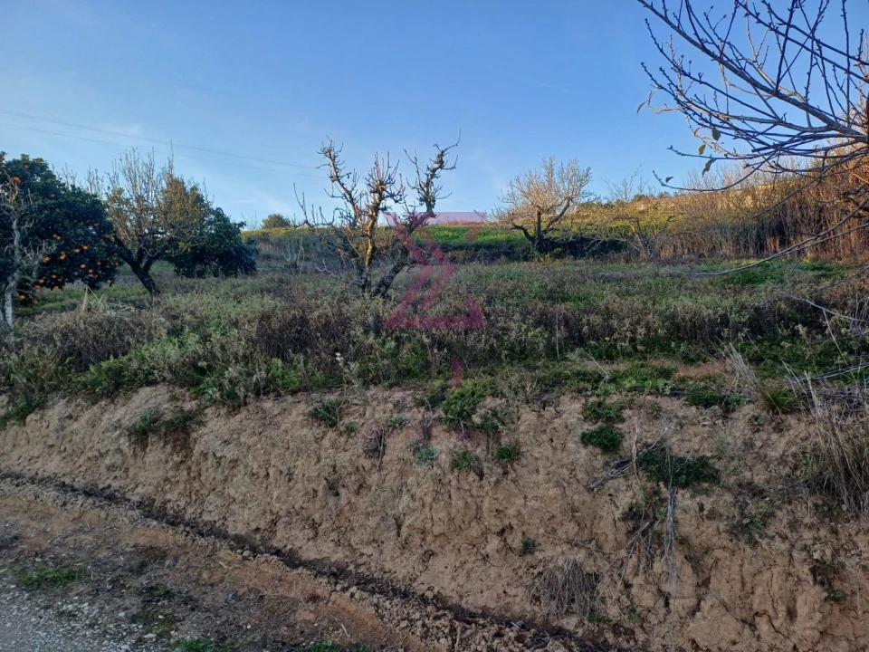 Terreno para Venda em Carvalhal Foto 10