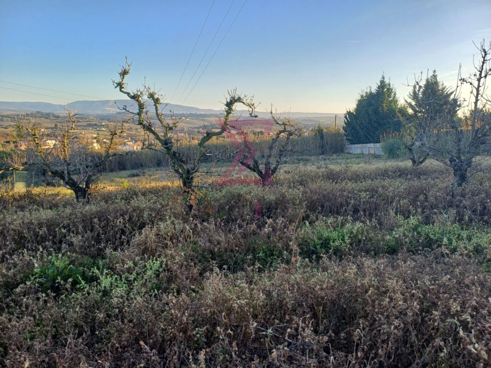 Terreno para Venda em Carvalhal Foto 16
