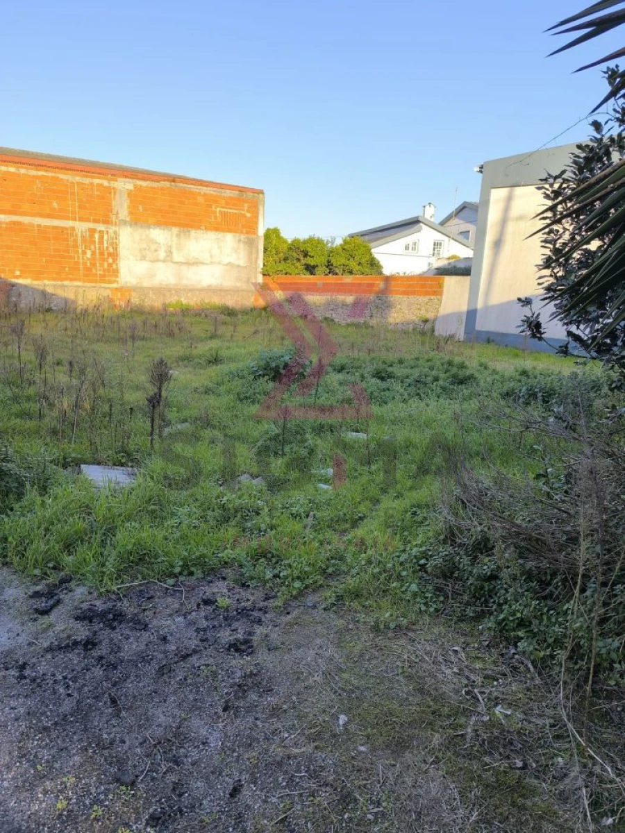 Quinta T3 para Venda em Po Foto 44