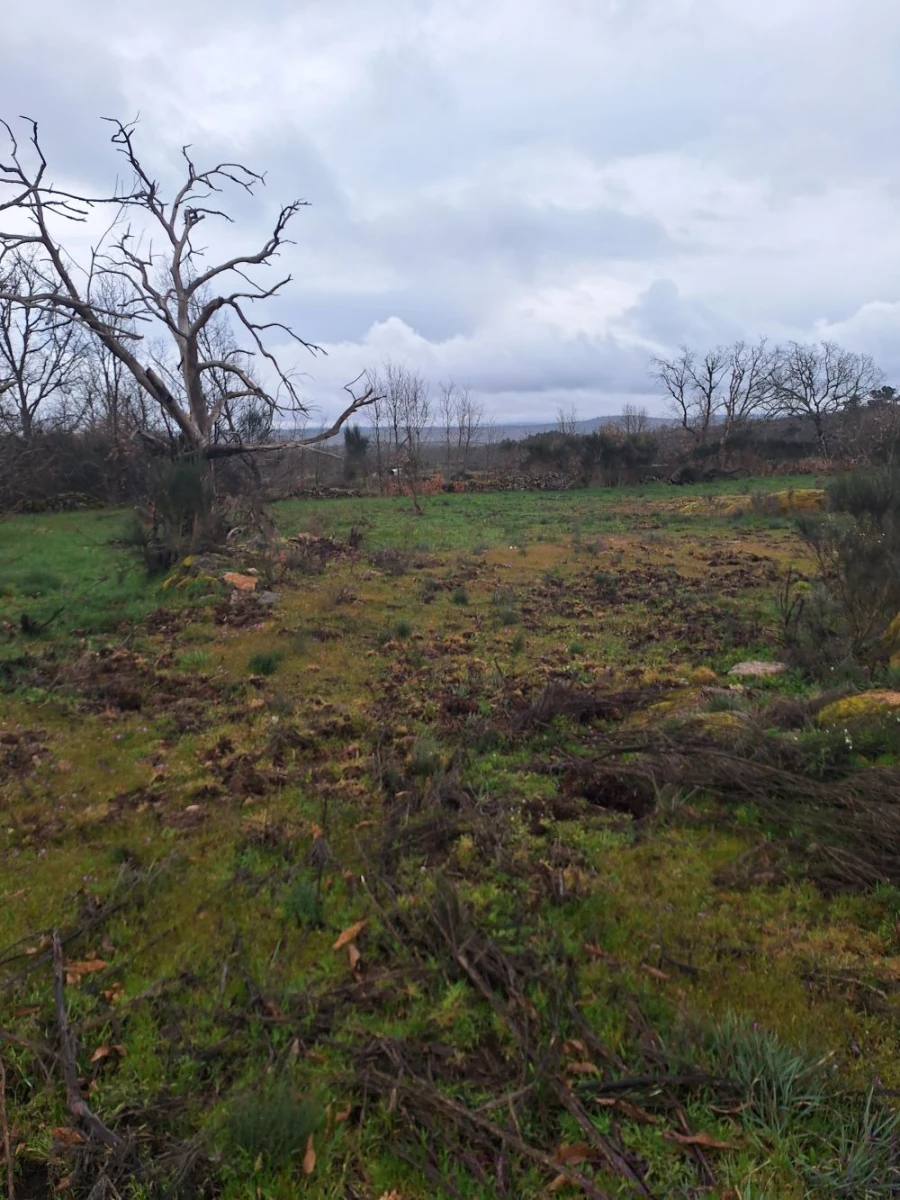 Terreno para Venda em Castanheira Foto 5