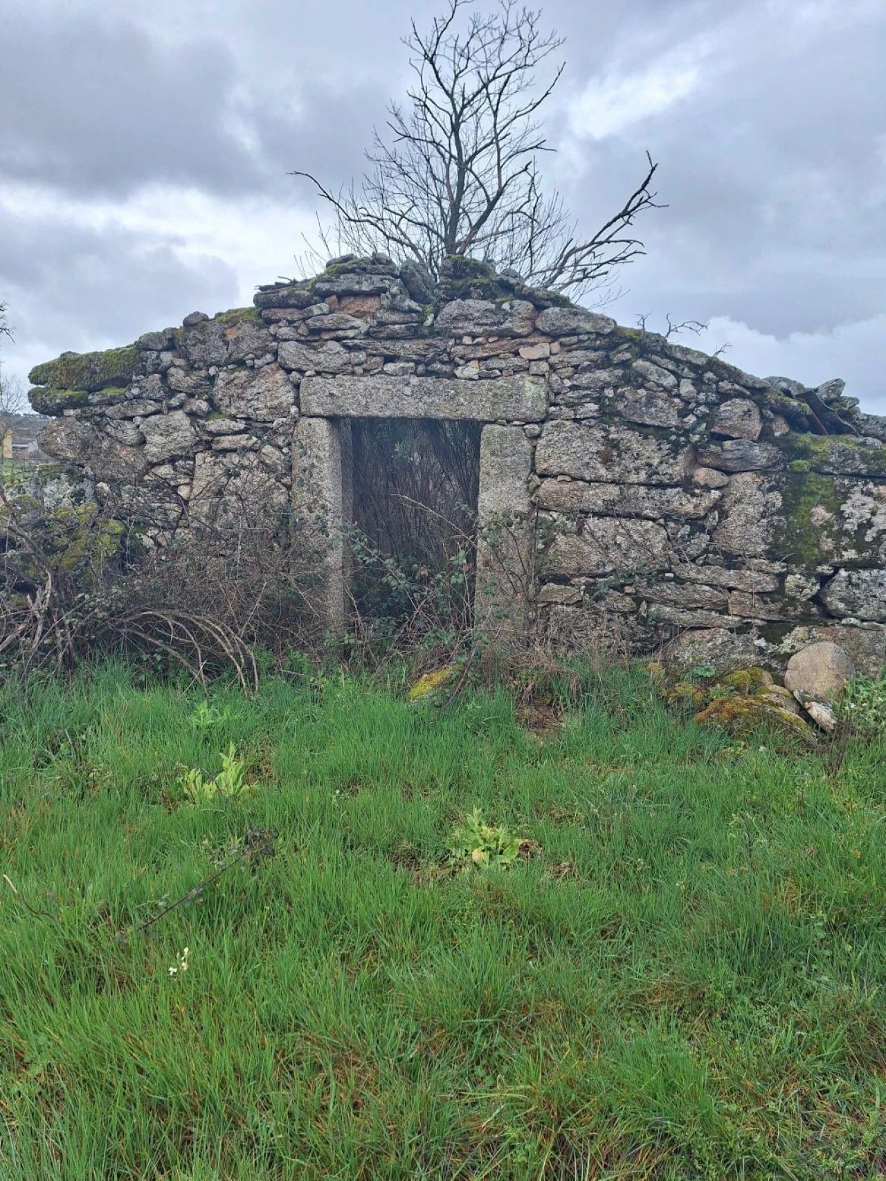 Terreno para Venda em Castanheira Foto 1