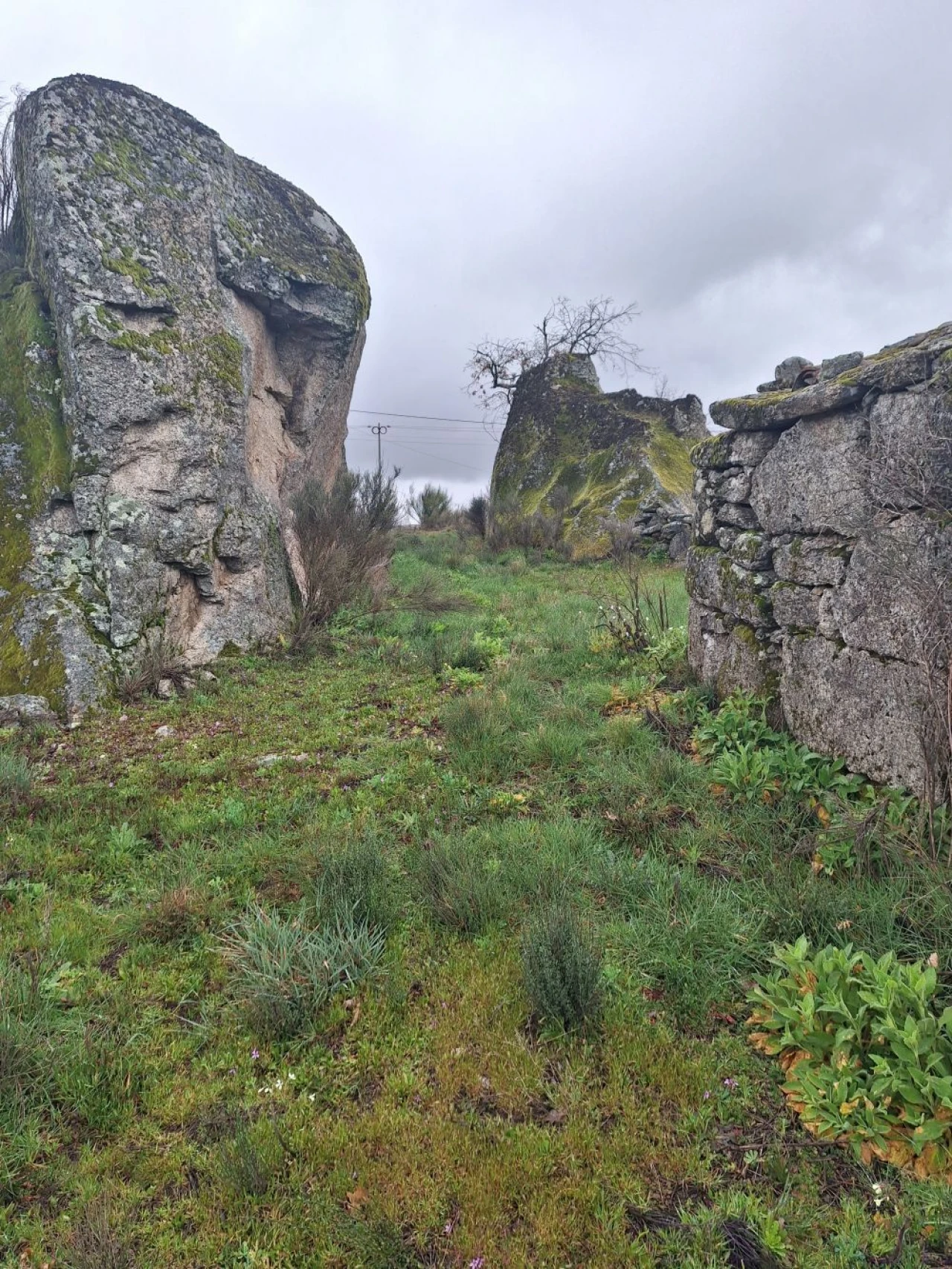 Terreno para Venda em Castanheira Foto 2